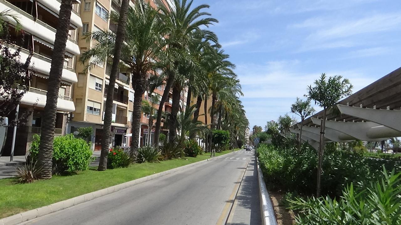 Vida Sol Appartamento Torrevieja Esterno foto